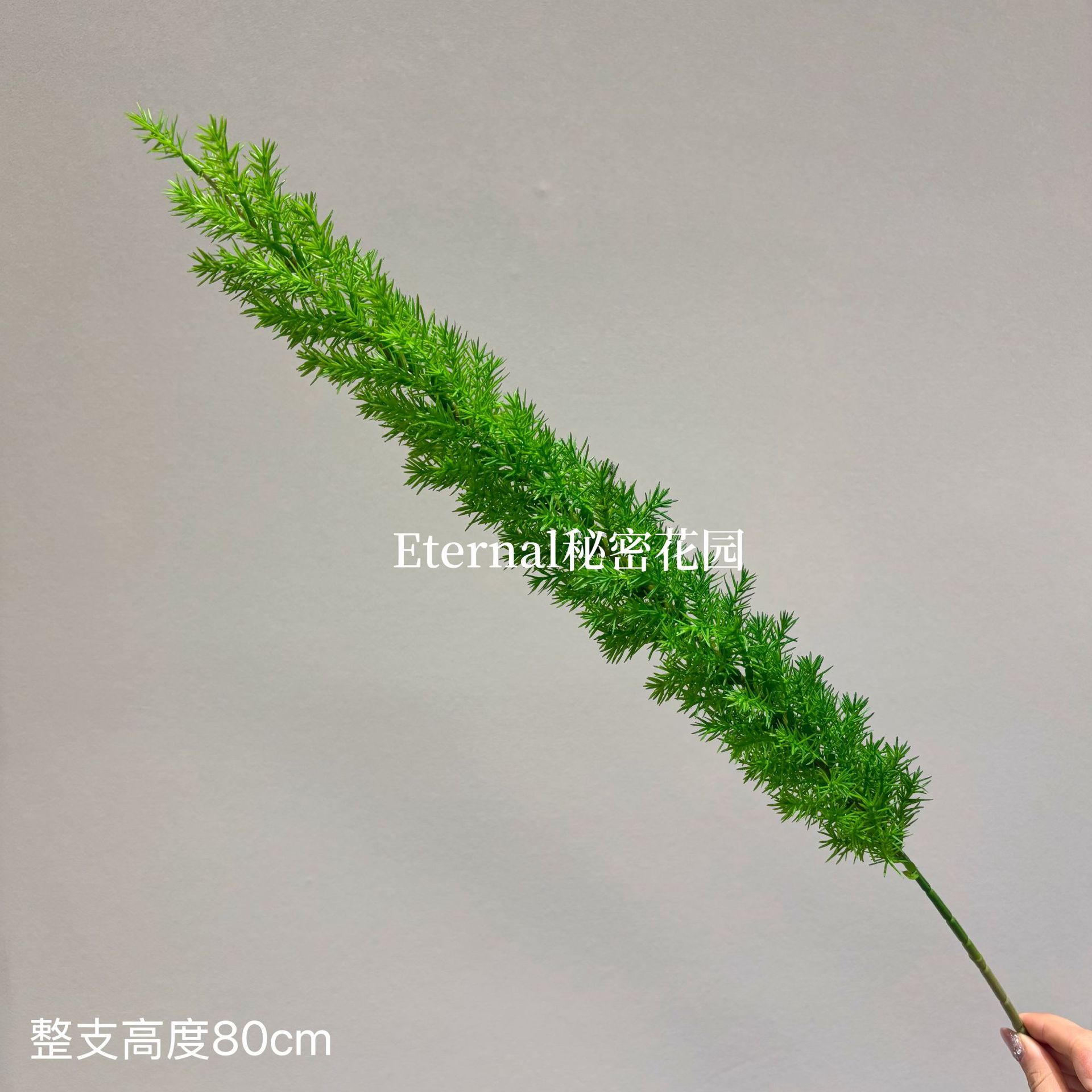 호미천문동