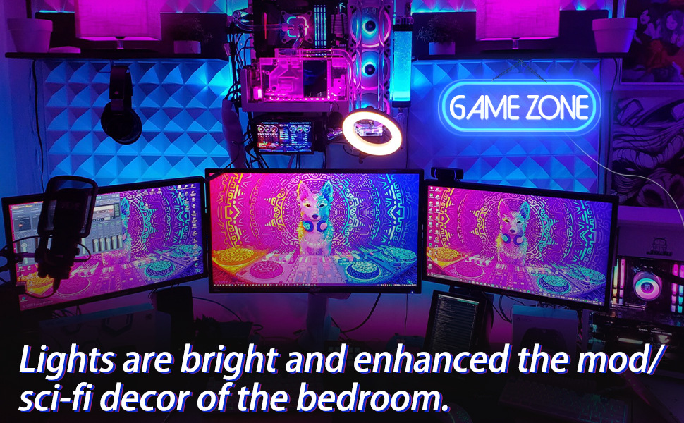 LED Neon Light 10