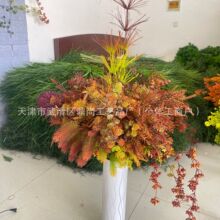 ���ɫ��ɫ���ɫ����Gֲ�̲�ɫ��Y�b������l���߲廨��Y��