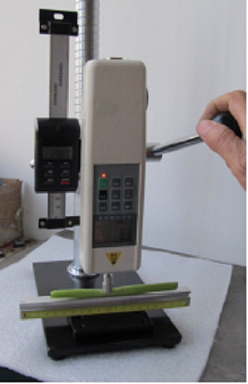 H植物茎杆强度仪 型号:NHZL-SL04库号：M97448