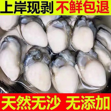 ���r�F��ȥ������⺣Ϡ�����ط�ĵϠ���偟������rˮ�a�������