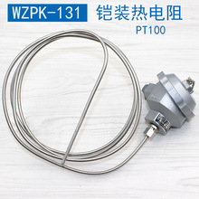 WZPK-131/231WRNK铠装PT100铂热电阻K型铠装热电偶温度传感器探头