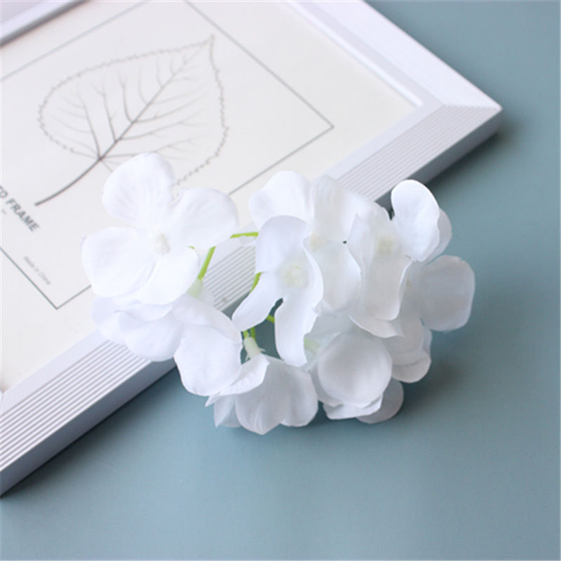 8581edd84bb024ca6944a65dbd2877