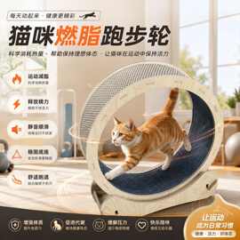 跨境宠物猫咪跑步机竹编耐用滚轮式猫狗跑道实木健身运动玩具宠物