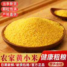 ��Ŵ�SС�������r���SС��Ŵ������s�Z��Ͱ�����֬�ͽ����ּZ