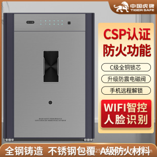 Tiger Safe Csp Certified Small Home Safe Fireproof and Anti-Theft Password Box Fingerprint Smart Safe