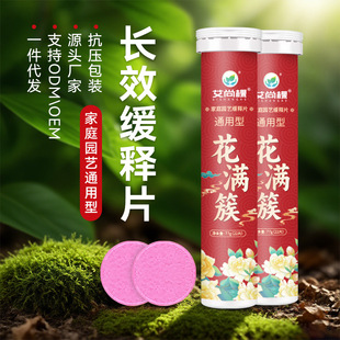 Aishangke Household Plant Nutrition Slow-Release Tablets Universal Slow-Release Fertilizer Nutrition Tablets Household Flower Fertilizer Potted Fertilizer