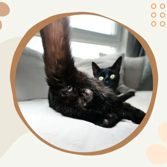 O1CN014hnO9S27XCZ94lnUd_!!2213