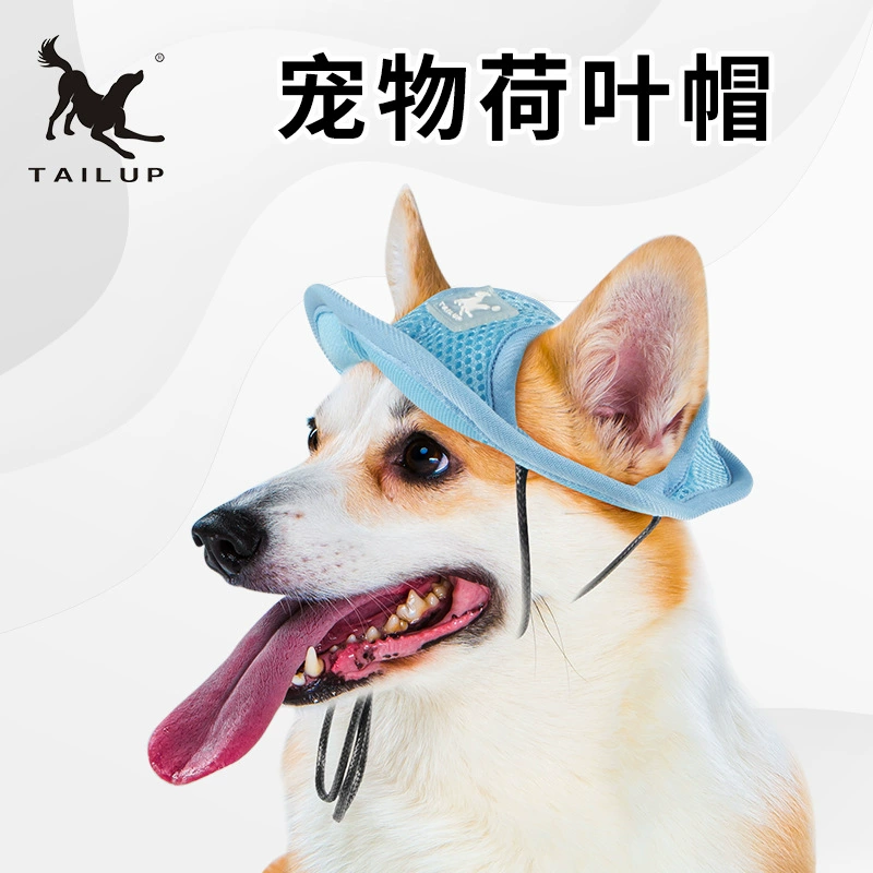 Поставки для домашних животных Новая собака летняя шапка