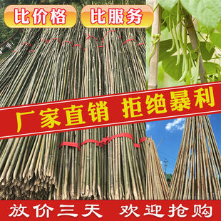 ����Ͳˈ@��ܶ����S�Ϸ������ӗU�h�ʇ�����U���ټܷN��֧����