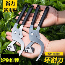 �h�������ٗ����ј��Ϙ�Ƥ��Ƥ���_�׵��h���ˮ��֦�h������