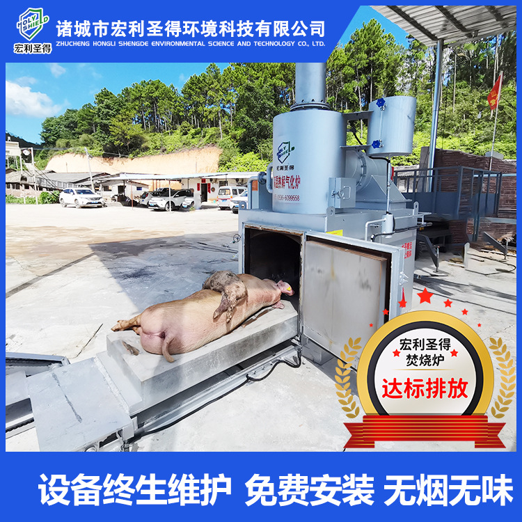 源头厂家货源屠宰场动物火化炉 病死动物尸体焚烧炉 宏利圣得