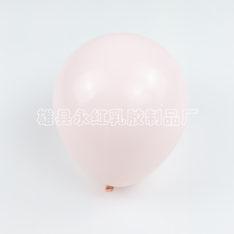 1.5g 10 pulgadas Maca en polvo (100 piezas / paquete)