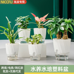 ���˾G�}ֲ���Ԅ���ˮС����͸��ˮ�Bˮ�����������G�}�_�h���k��