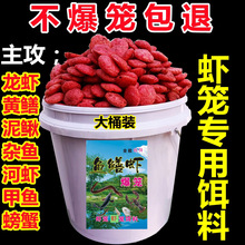�S�X�T�D���r�D�����q���r�s�~�з���~�\�D���r�\���r�W�T�D