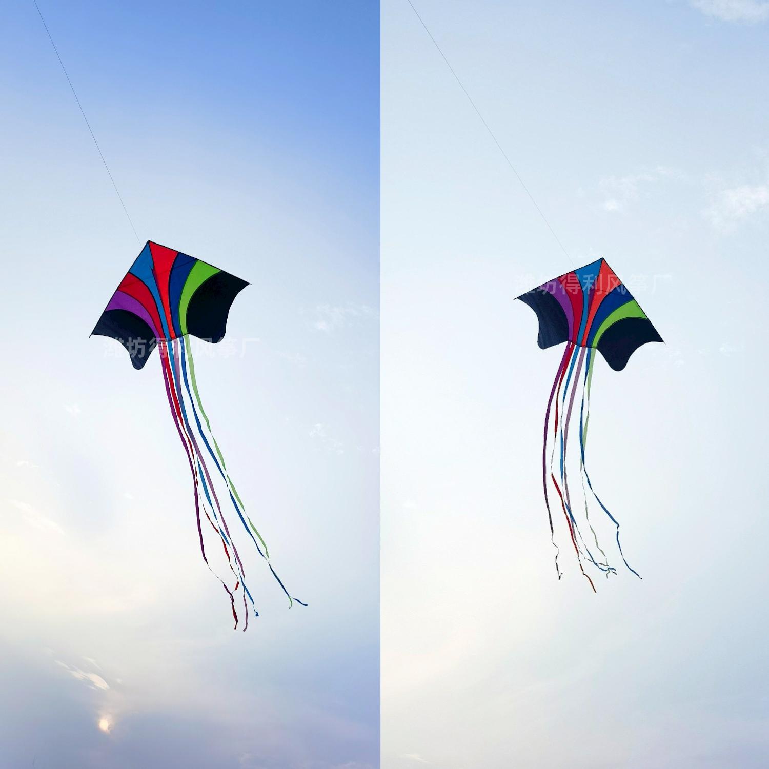 Nueva cometa voladora cometa colorida Phoenix grande Súper Larga Cola fácil de volar niños adultos Weifang kite fábrica al por mayor