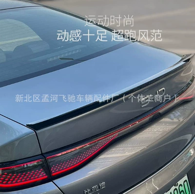 Fixed wind wing Dm-I 2023 Model Rear Wing