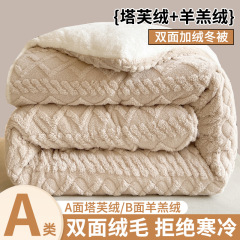 冬天羊羔绒被子加厚保暖牛奶绒冬被冬季加绒加厚10斤棉被秋冬被芯