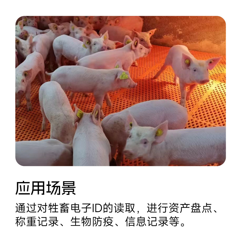 P10#UHF+P7#详情_F.jpg