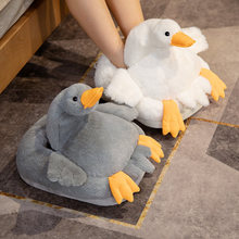 ��ͨ���Zů�_����늼ӟ�ɲ�ж����ë�q��ů�Ҿ�ů�_�����_����