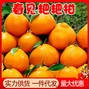 �����Ĵ���Ҋ�ҰҸ�9��������ٮ������rˮ��10���l���]5���ӳ���