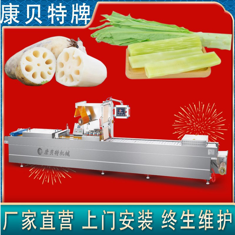贡菜全自动真空包装机 净菜真空机 莲藕拉伸膜真空包装封口机