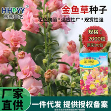 ~ݷN޸ݱNֲﻨݷNļɷNֲ׳ɻ