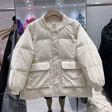 2023¿qṴ̊IӺɱůڴq