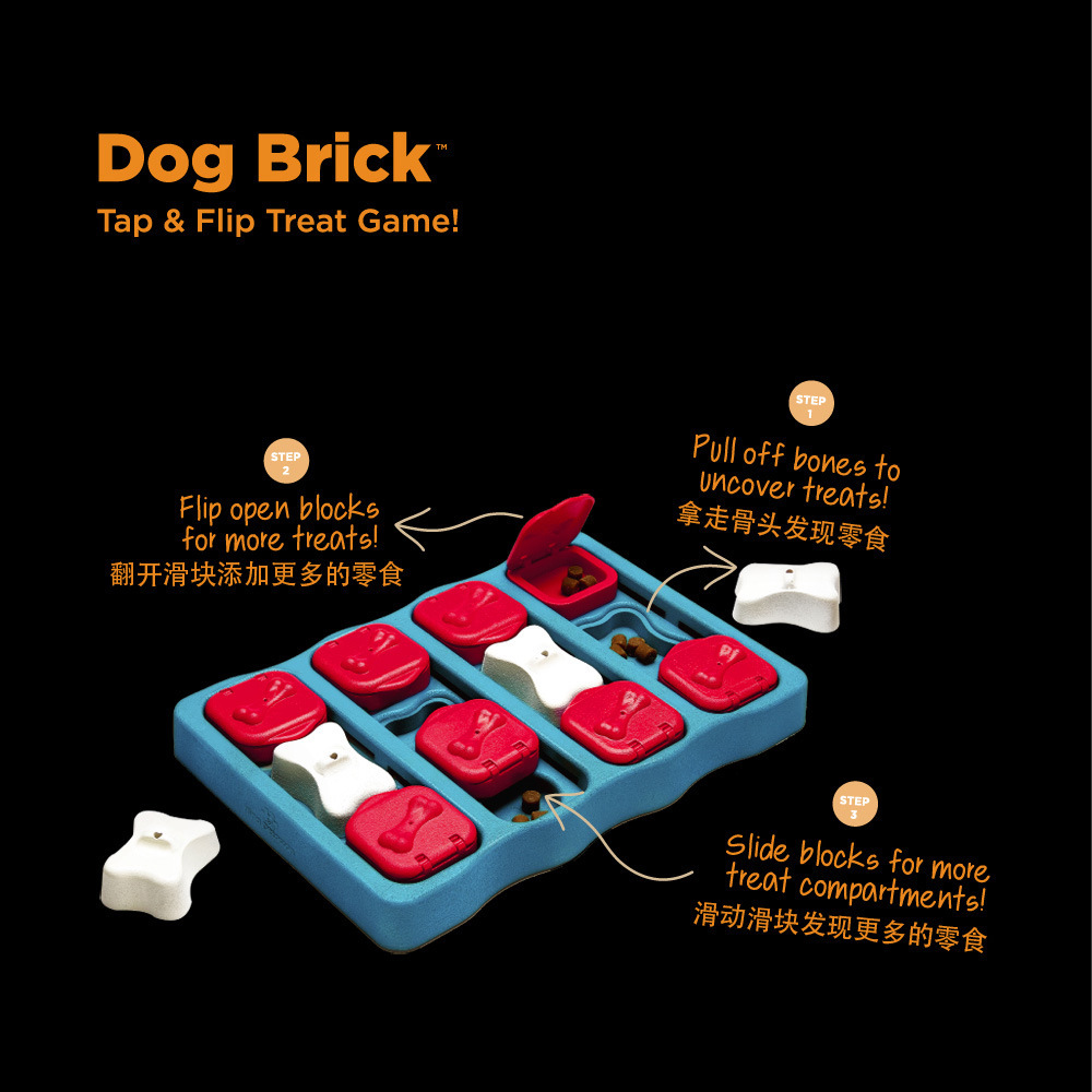 6255888913_1678532509