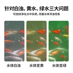 ���������~���Ã�����ˮ�|������ˮ�|�峺�����儩�����������~��