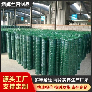 定制荷兰网草绿色铁丝网养殖隔离网浸塑鱼塘护栏隔离铁丝荷兰网片
