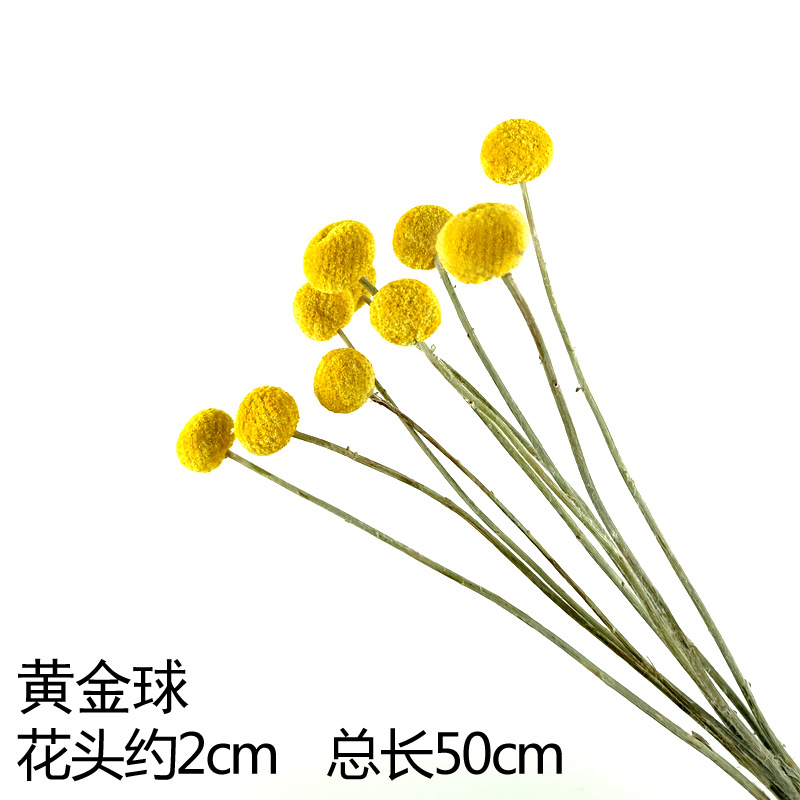 밝은 노란색 공 10개