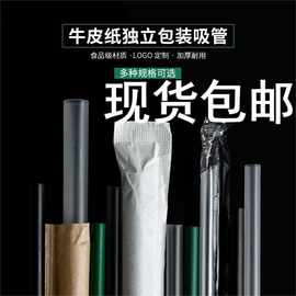 15cm咖啡一次性19cm沙冰细独立包装pp塑料吸管23cm粗珍珠奶茶吸管