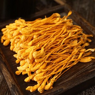 ��؛�x�ݻ���؛�r�������^�o��Ǳ�Ӽ�x�ݻ�ʳ���Ҝ��������l����