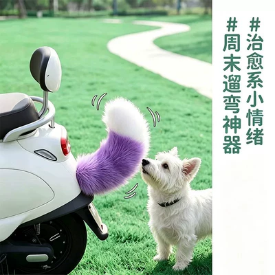 Tail Decoration for Electric Vehicle: Other Electric Vehicle Accessories