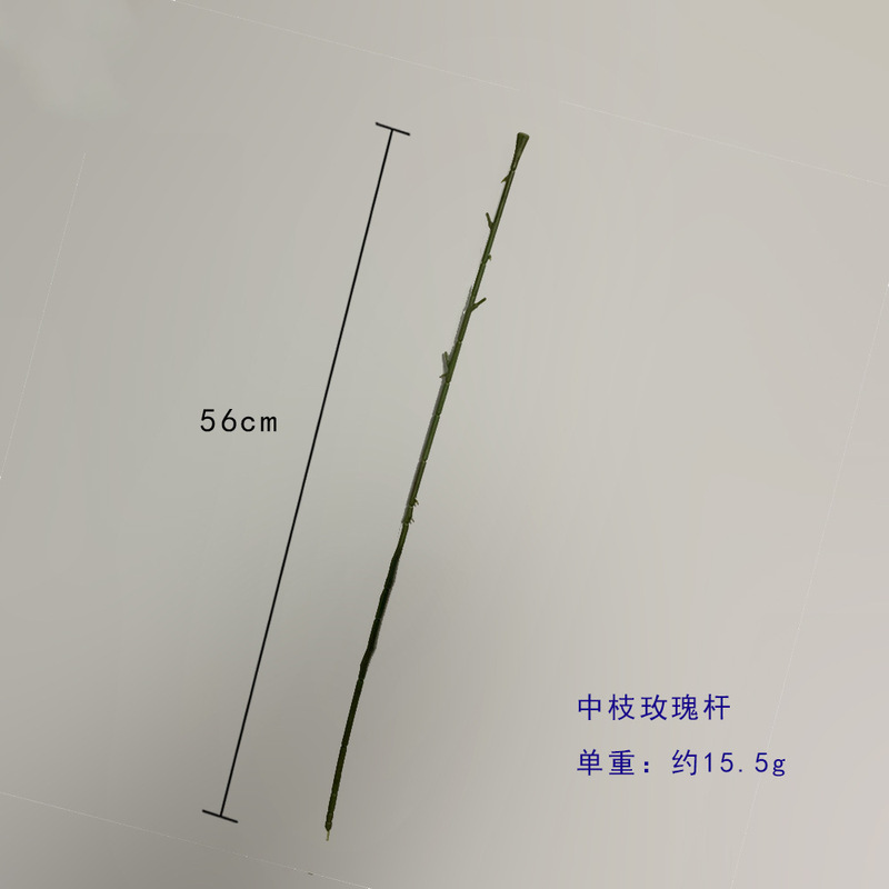 ローズの花をシミュレーションします。|undefined