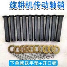 �����C�f�򹝲��N���I�S��N�������C�����S���N12.9��14���N��