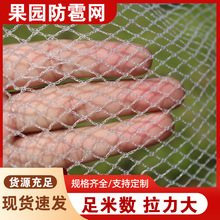 现货批发防雹网40-100目果树果园防鸟网果蔬农场防冰雹网支持验厂