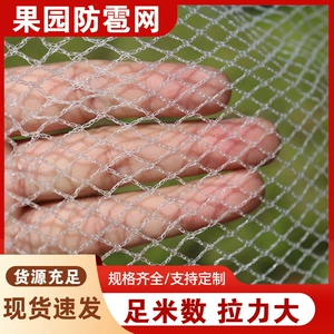 [现货批发防雹网40-100目果树果园防鸟网果蔬农场防冰雹网支持验厂]