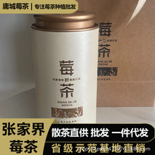 莓茶张家界芽尖罐装茶叶藤茶罐茶源头直销一件代发野生纯天然甘醇