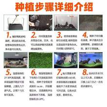 ˮɰ~䁵ɰl쾰ȫײˮݷNӻʲˮ