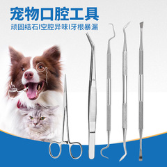 Factory Stainless Steel Probe Set Dual-Head Fork-Shaped Toothbrush Flosser Toothpick Cleaning Dental Pet Tool