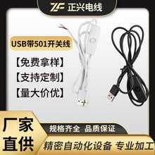 厂家直供usb开关线501台灯酷毙灯led日不落灯电源线插头节能量大