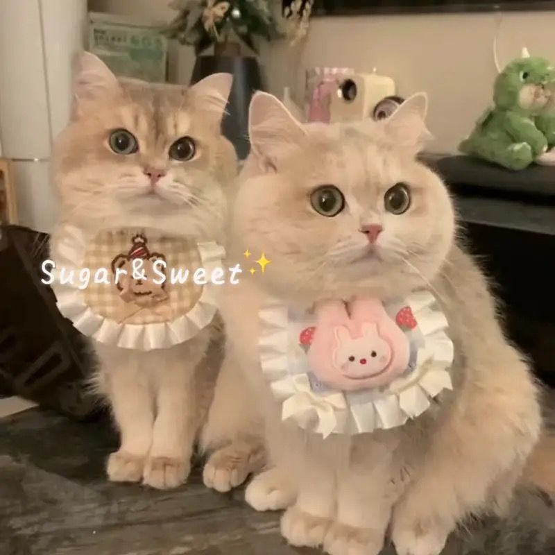 파란색 배경에 분홍색 토끼