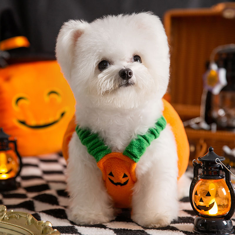 Otoño e Invierno perro Halloween Navidad calabaza luz transformación traje divertido gato dos pies mascota peluche perro ropa