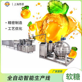 4826-SE-300J软糖自动生产设备 糖果浇注成型设备 果糖机厂家