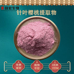 针叶樱桃提取物 VC25% 巴西针叶樱桃粉 昌宏现货 厂家货源