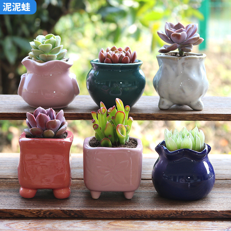 Ceramic Succulent Flowerpot Jar Style Hand-painted Floating Coarse Pottery Breathable Personalized Handmade Succulent Coarse Pottery Large and Small Potted Plant