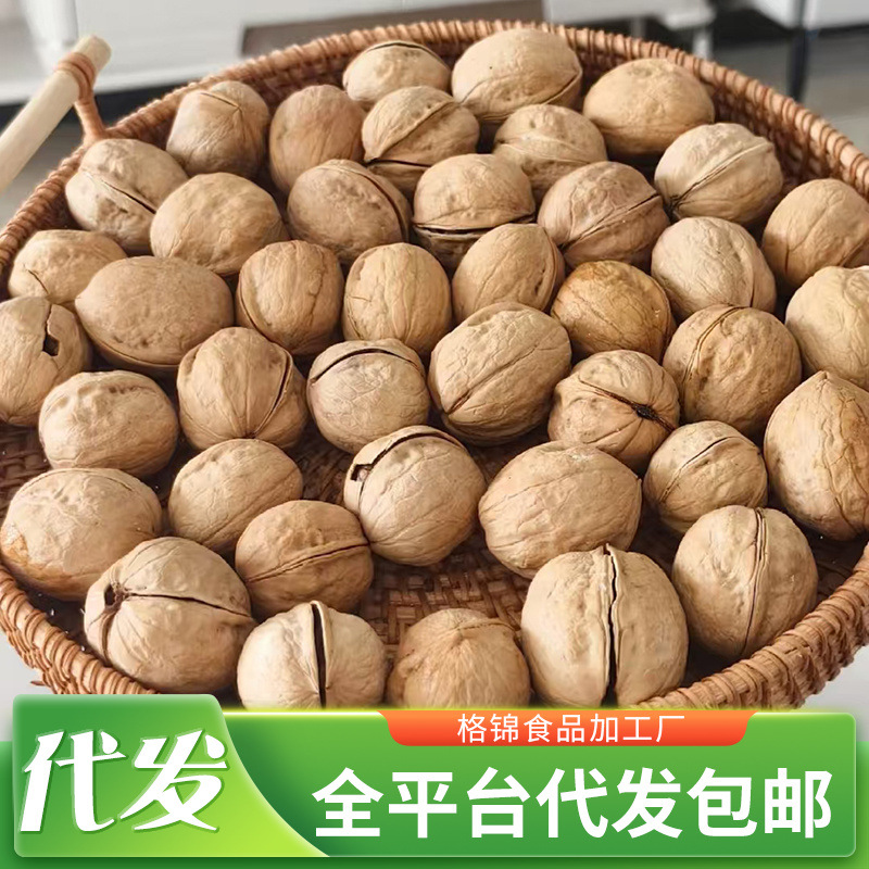 新疆185纸皮核桃新核桃袋装 散装批发手捏即开阿克苏薄皮生核桃