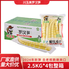 罗汉笋2.5kg×4袋一箱竹笋餐饮专用热炒凉拌火锅开袋即食火锅食材